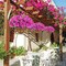 Artificial Hanging Azalea Flowers with Coconut Basket, Silk Faux Hanging Plants for Outdoor Indoor Decor, UV Resistant Fake Flowers for Porch Patio Garden Yard Home Decoration, Fuchsia